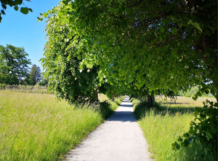 Tirtha_Path_1_w1.JPG